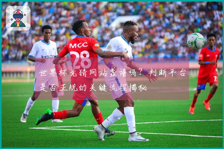 世界杯竞猜网站靠谱吗?判断平台是否正规的关键流程揭秘